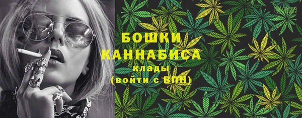 PSILOCYBIN Абдулино