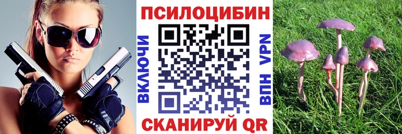 Псилоцибиновые грибы прущие грибы  купить наркоту  Троицк 